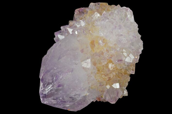 Cactus Quartz (Amethyst) Crystal - South Africa #132459